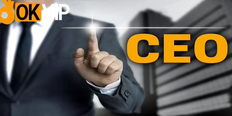 Vị trí CEO giúp OKVIP định hướng phát triển