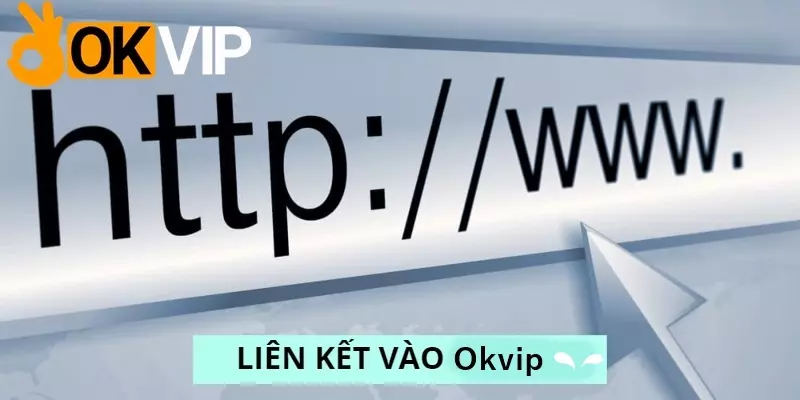 Quy định xử lý rủi ro khi truy cập nhầm link trang web