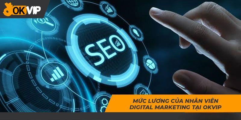 Mức lương của nhân viên SEO website OKVIP