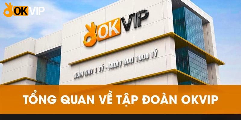 Giới thiệu đôi nét cơ bản về đại lý OKVIP 